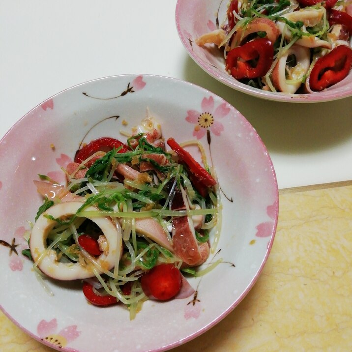 ボイルイカと水菜とパレルモの生姜めんつゆ和え